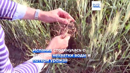 Европа: после зимней засухи - летняя