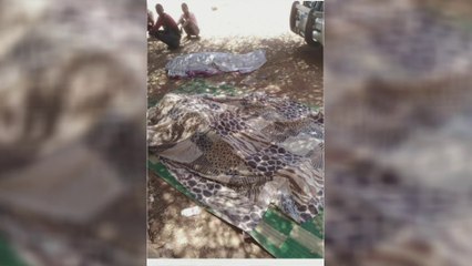 نداءات استغاثة عقب انتشار جثامين لقتلى الاشتباكات في #الخرطوم  #السودان #العربية