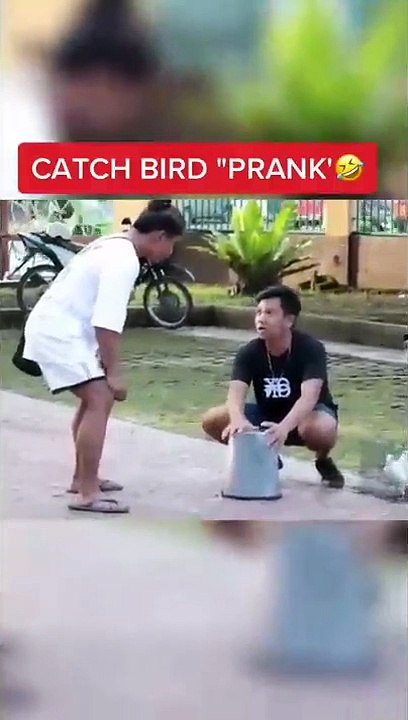 Funny Clips Video