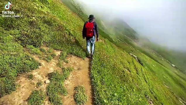 Beautiful mountains | greenery | nature