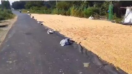 సిద్దిపేట: రోడ్డుపైనే ధాన్యం ఆరబెట్టిన రైతులు.. ప్రమాదం జరిగితే?