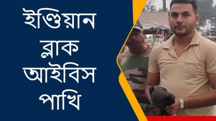 দুটি বিরল প্রজাতির ইণ্ডিয়ান ব্লাক আইবিস পাখি উদ্ধার