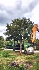 Trending Shorts Videos Subscribe Now G3 5