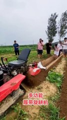 Trending Shorts Videos Subscribe Now G3 1-1