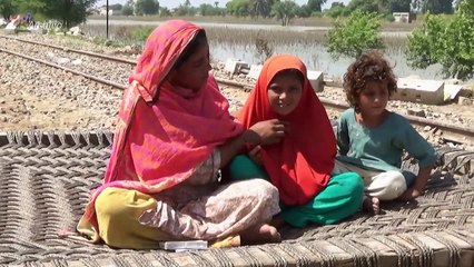 La ONU pide centrarse en derechos de las mujeres y no en aumento de población mundial