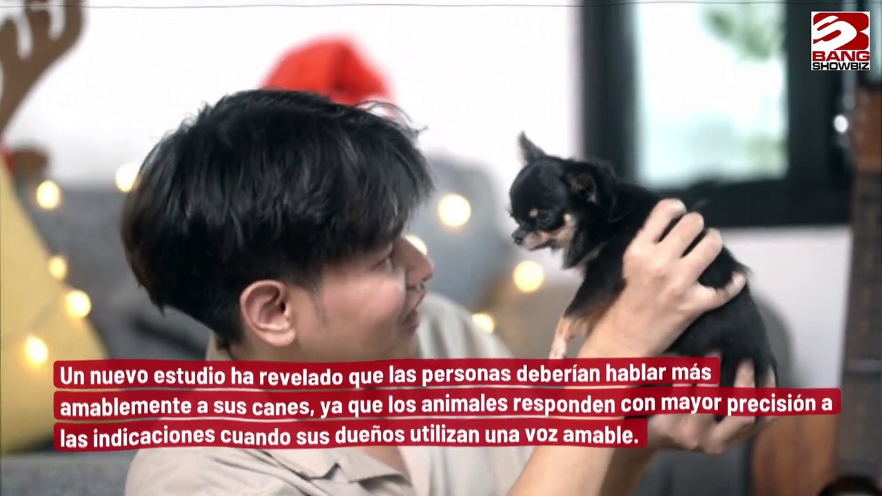 Los dueños de perros no deben dar órdenes a sus mascotas
