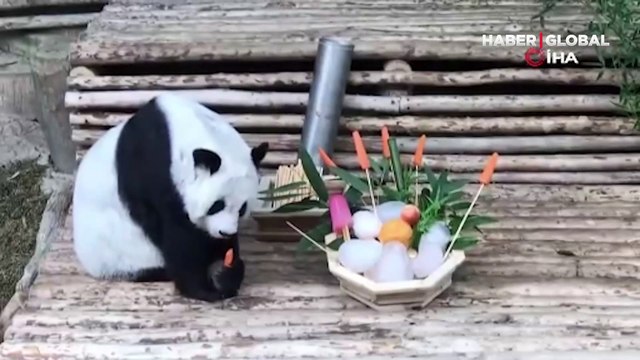 Çin'in Tayland'a ödünç verdiği dev panda Lin Hui 22 yaşında hayatını kaybetti