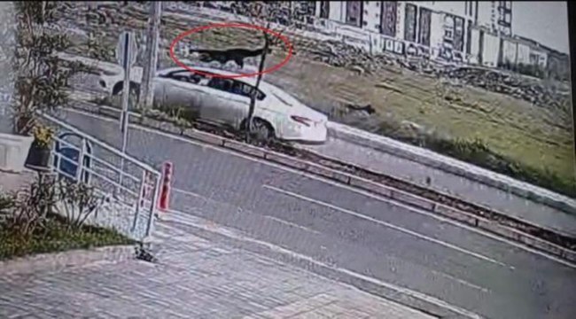 Diyarbakır'da otomobilin çarptığı kadın hayatını kaybetti; kaza anı kamerada 