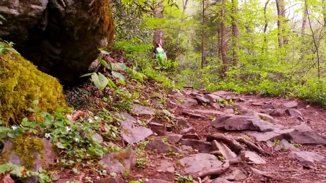 15 Most Amazing UNESCO World Heritage Sites