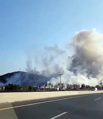 جازان .. "أطفال العارضة" بين صفيح القاتل السام وسندان صمت الأمانة 