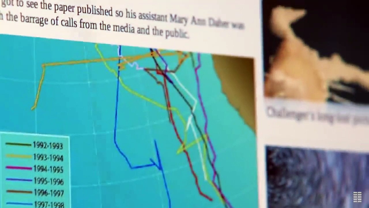 A la recherche de la baleine solitaire Bandeannonce (EN) Vidéo