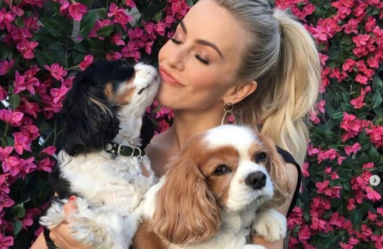 Los dueños deberían evitar dar órdenes a sus perros