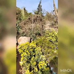 Sénégal mon 71 ème pays