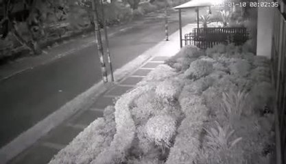 Qhubo-Miguel Angel Palta_SD.mp4