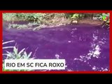 Rio fica roxo em Joinville (SC) e intriga moradores
