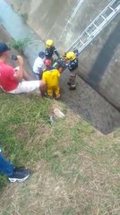 Qhubo-Videorescate.mp4