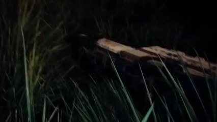 Qhubo-WhatsApp Video 2020-01-24 at 5.13.42 AM (1).mp4