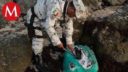 Hallan alrededor de 30 kilos de cocaína entre el sargazo en la zona costera de Tulum