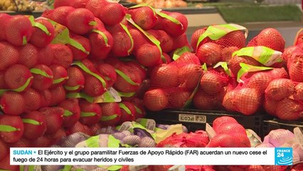 Europa prohibirá las importaciones de productos provenientes de zonas deforestadas