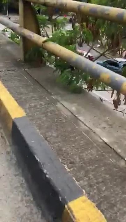 robo en la autopista