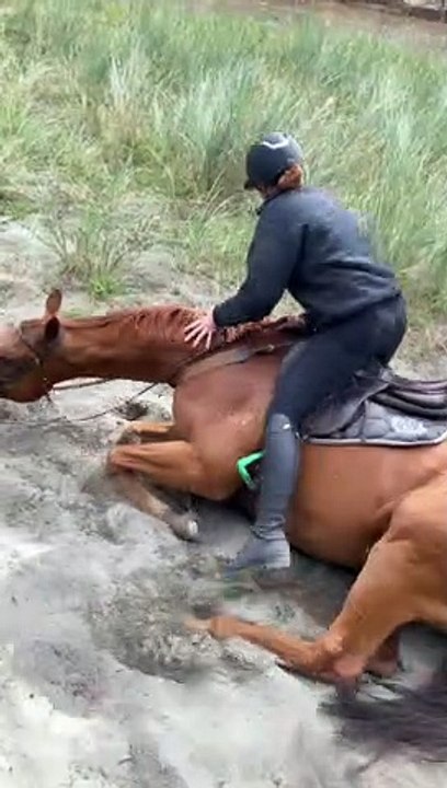 Sydney's Sand Shenanigans Unseats Rider