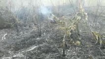 Incendio forestal en El Bosque y Altos de Menga