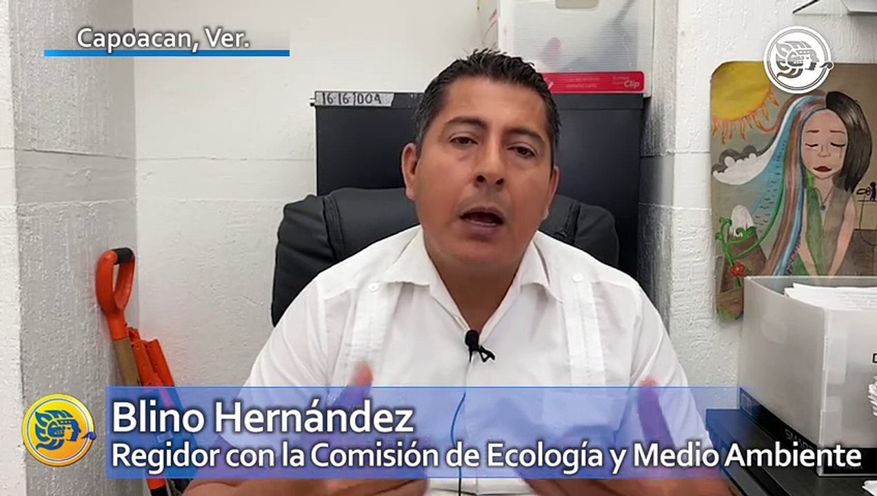 Buscan reubicar a mono aullador localizado en Capoacan: regidor de ecología y medio ambiente