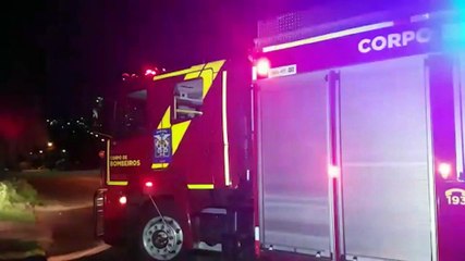 Corpo de Bombeiros é acionado remover árvore que caiu sobre rua no Parque São Paulo