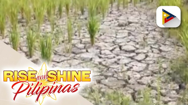 PAGASA: Mataas ang tsansang mangyayari ang El Niño sa pagitan ng Hunyo 2023-Enero 2024...