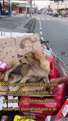 Reciclador se resiste a cambiar a su perrito por dinero