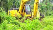 Caterpillar Excavator PC 195 LC Moving Broken Wood Using Truck