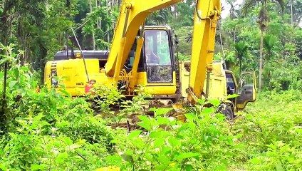 Caterpillar Excavator PC 195 LC Moving Broken Wood Using Truck