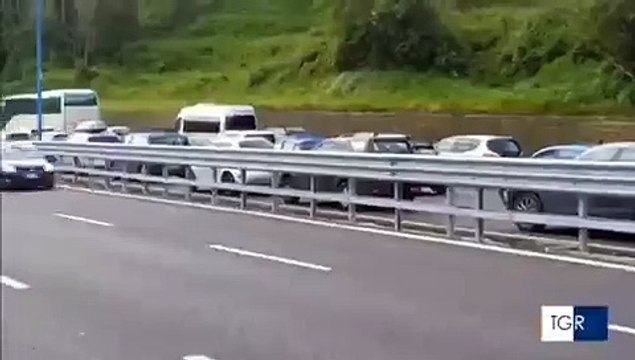 Cavallo contromano in tangenziale a Napoli