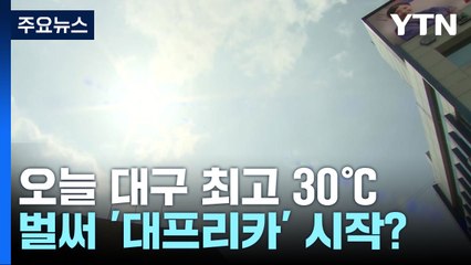 벌써 '대프리카' 시작?...오늘 대구 최고 30℃ 전망 / YTN