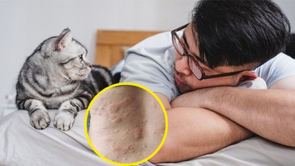 Pets के साथ AC Room में सोना चाहिए या नहीं | पालतू जानवरों के साथ Ac Room में रहने से क्या होता है |