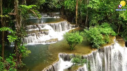 Soothing Music for Meditation and Yoga