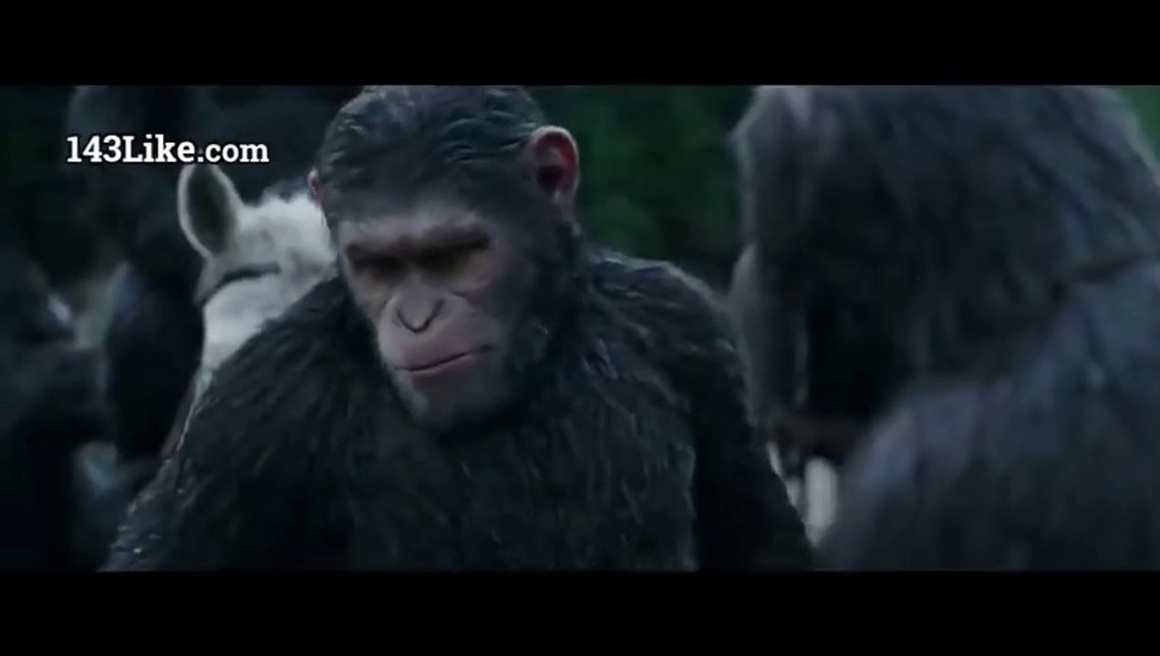 War For the Planet of The Ape Best Hollywood Action Movie in Hindi Dubbed