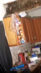 Historic Flooding in Florida Forces Family to Leave Home