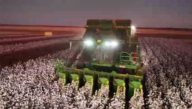 Cotton being picked at Eastern Australian Ag's Clyde property at Dirranbandi | April 2024 | Qld Country Life