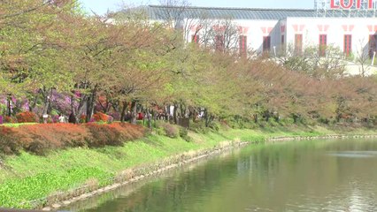 [날씨] 서울 등 중부 계절 제자리 ...선선한 봄 날씨 / YTN