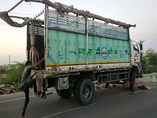 video: मेगा हाइवे पर ट्रेलर मेटाडोर की टक्कर, एक की मौत तीन घायल