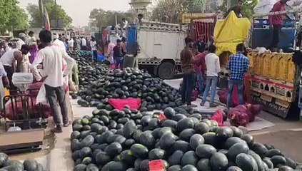 अलवर सब्जी मंडी में तरबूज की बंपर आवक पैर रखने की भी जगह नहीं बची