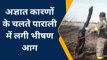 हमीरपुर: आग के तांडव से 36 बीघा पाराली जलकर राख, किसानों में मचा कोहराम