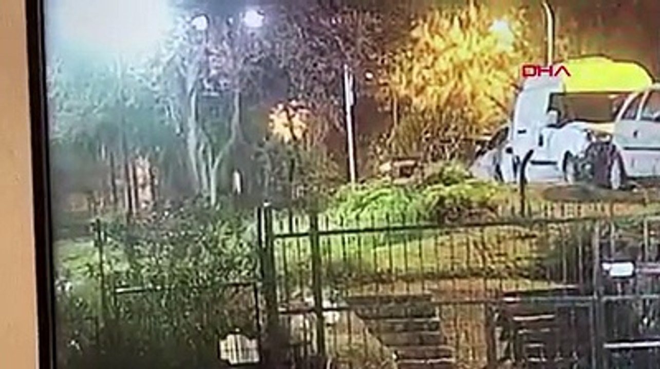 Bulun bu hayvanı! İstanbul'da insanlık bir kez daha öldü!