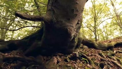 Die Wilden Kerle 5 Bande-annonce (EN)