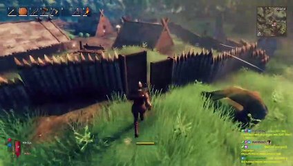 Ein erstes Feld. Valheim #33