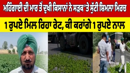 ਮਹਿੰਗਾਈ ਦੀ ਮਾਰ ਤੋਂ ਦੁਖੀ ਕਿਸਾਨਾਂ ਨੇ ਸੜਕ 'ਤੇ ਸੁੱਟੀ ਸ਼ਿਮਲਾ ਮਿਰਚ 1 ਰੁਪਏ ਮਿਲ ਰਿਹਾ ਰੇਟ | OneIndia Punjabi