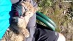 Guy Finds A Stray Kitten, Bikes Around The World With Her For Two Years _ The Dodo Soulmates