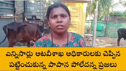 కళ్యాణదుర్గంలో చిరుతల సంచారం... బెంబేలెత్తుతున్న జనం