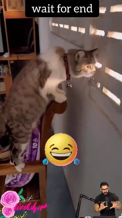 Tranding Videos-Tranding Shorts-Tranding songs #tranding #trandingshorts #shorts #viral #001 20-4-23 (2)